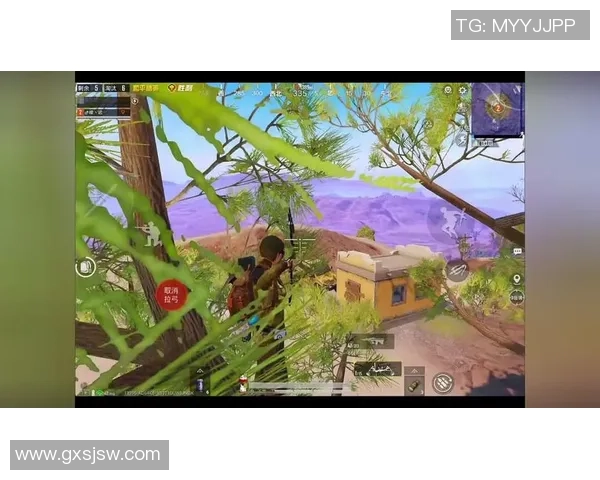 和平精英热议V5速度之争引发玩家热烈讨论与不同观点碰撞 和平精英热议V5速度之争引发玩家热烈讨论与不同观点碰撞