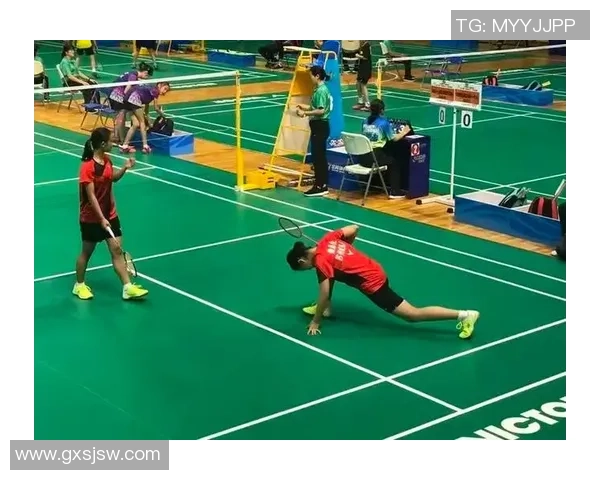 南京羽毛球队的训练节奏与战术分析探讨羽毛球运动的魅力与发展