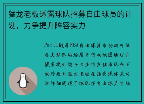 猛龙老板透露球队招募自由球员的计划，力争提升阵容实力